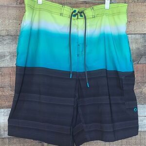 ‎Speedo men’s swim trunks, size large